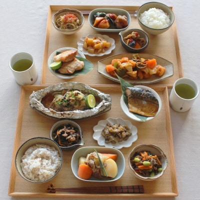 お惣菜おかわりの無添加のお惣菜セット/12種類各1個合計12個のセット　一人暮らし 冷凍 レトルト　