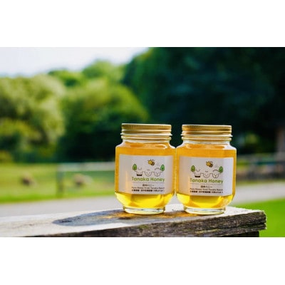 【100%ピュア田中ハニー】田中牧場の土地で採蜜された100%ピュアハニー　240g×2瓶