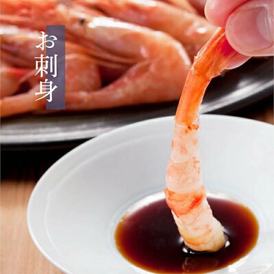 福井県産 越前 甘えび 小サイズ 500g (約50匹前後) ×2パック【ますよね えび】