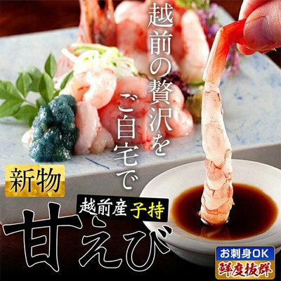 福井県産 越前 子持ち 甘えび 500g【ますよね えび】