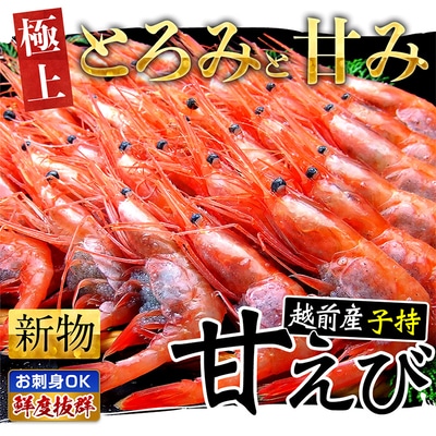 福井県産 越前 子持ち 甘えび 500g × 2パック【ますよね えび】