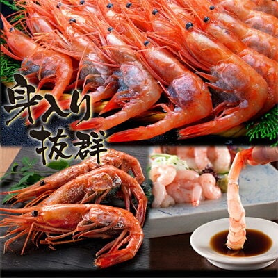 福井県産 越前 子持ち 甘えび 500g × 2パック【ますよね えび】