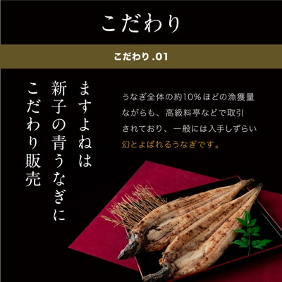 ますよね商店の きざみ うなぎ 蒲焼き 5食【ますよね 鰻 蒲焼 ひつまぶし】