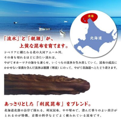 【業務用】根昆布入りとろろ 10袋【甲羅組 昆布 ご飯のお供 弁当】