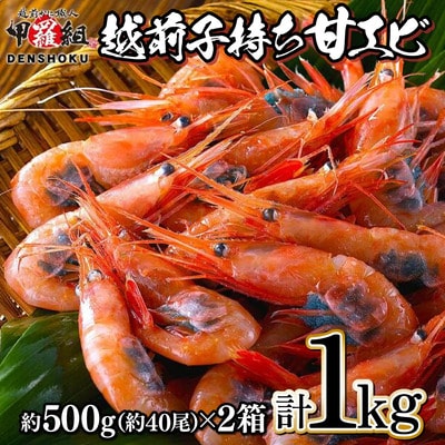 越前子持ち甘エビ 約500g(約40尾)× 2箱(計1kg)【甲羅組】