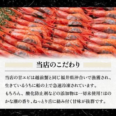 越前子持ち甘エビ 約500g(約40尾)× 2箱(計1kg)【甲羅組】