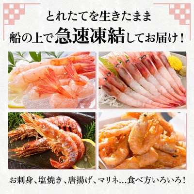 越前子持ち甘エビ 約500g(約40尾)× 2箱(計1kg)【甲羅組】