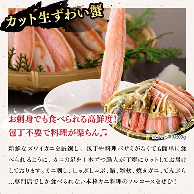 ズワイ蟹入り 敦賀の豪華 海鮮福袋 10種【甲羅組 生ズワイ蟹 むきえび ホタテ いくら醤油漬け】