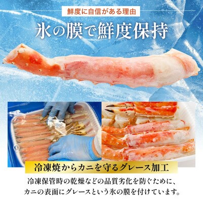 12/24まで年末配送 肉厚 カット済み ボイル たらばがに足 (総重量1kg)×2箱【甲羅組】