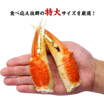 12/24まで年末配送 切れ目入り ボイルずわいがに 爪 2kg(解凍後1.4kg/20～50個入)