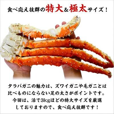 12/24まで年末配送 ボイル たらばがに足 3kg(1kgあたり1肩 / 解凍後800g)