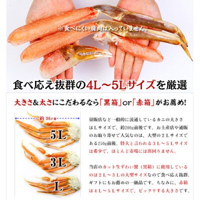 12/24まで年末配送 【お刺身OK】生ずわい蟹 ポーション 1kg(総重量1.3kg)