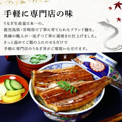 国産 うなぎ 蒲焼き(無頭 約180g前後)×2尾 タレ&山椒付＜贈答用BOX入り＞【甲羅組  鰻】