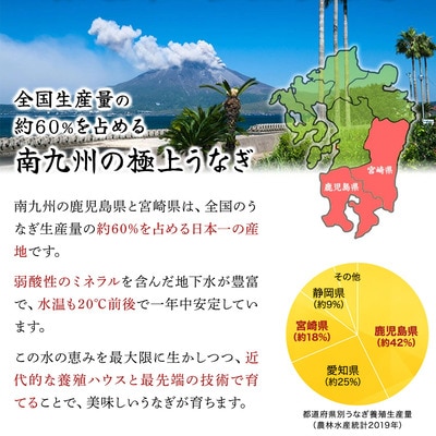 国産 うなぎ 蒲焼き(無頭 約180g前後)×4尾 タレ&山椒付＜贈答用BOX入り＞【甲羅組  鰻】