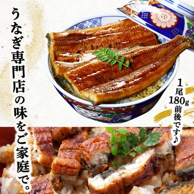 国産 うなぎ 蒲焼き(無頭 約180g前後)×4尾 タレ&山椒付＜贈答用BOX入り＞【甲羅組  鰻】