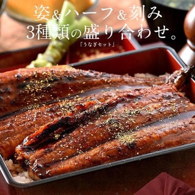 国産 うなぎ 蒲焼き セット(約165g × 1尾・刻みうなぎ・カットうなぎ)【しおそう丑の日】