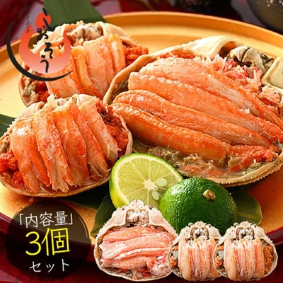 ズワイ 甲羅盛り(1個) と セイコ蟹 甲羅盛り(2個) セット【しおそう かに 蟹】
