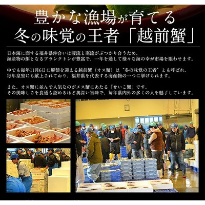 ズワイ 甲羅盛り(1個) と セイコ蟹 甲羅盛り(2個) セット【しおそう かに 蟹】