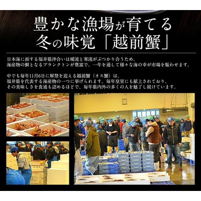 まるごと使用!ズワイ蟹甲羅盛り × 3個 セット【しおそう かに 蟹】