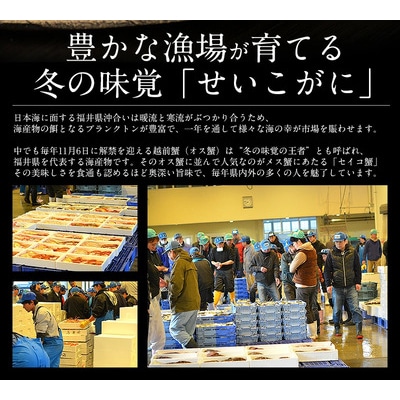 1度で4度楽しめる セイコ蟹 甲羅盛り 約70g × 3個セット【しおそう かに 蟹】