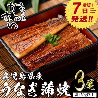 鹿児島県産うなぎ蒲焼(150g×3本)+きざみ75g