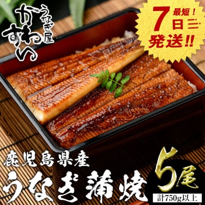 鹿児島県産うなぎ蒲焼(150g×5本)+きざみ75g