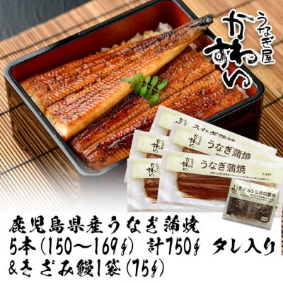 鹿児島県産うなぎ蒲焼(150g×5本)+きざみ75g