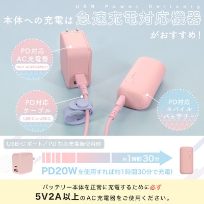 mocolonモバイルバッテリー5,000mAh パウダーブルー(MOT-MB5001-ECBL)