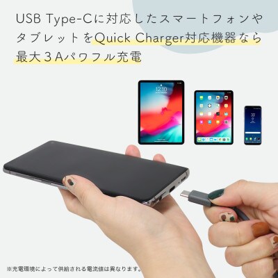 シリコンケーブル A to C 1m シェルピンク(MOT-SCBACG100-PK)