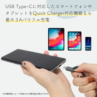 シリコンケーブル A to C 2m スモーキーブラック(MOT-SCBACG200-BK)