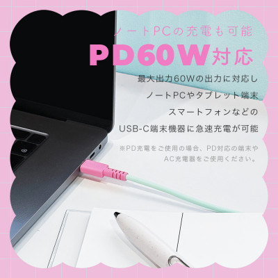 バイカラーケーブル C to C 1m ミントフラミンゴ(MOT-BCECCC100-MF)