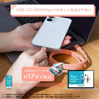 マグネットケーブル C to C 1m スモーキーブラック(MOT-MGCC100-BK)
