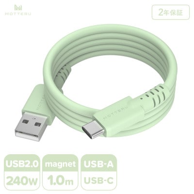 マグネットシリコンケーブル A to C 1m ピスタチオ(MOT-MGSAC100)