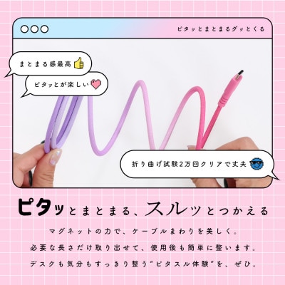 マグネットケーブル グラデーション USB-A to USB-C (MOT-MGGAC100-FN)