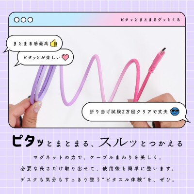 マグネットケーブル グラデーション USB-C to USB-C (MOT-MGGCC100-FN)