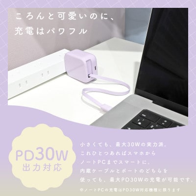 AC充電器 巻取り式 USB-Cケーブル一体型 ペールアイリス(MOT-ACPD30C2-PU)