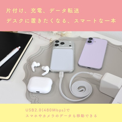 マグネットフラットケーブル 磁力でまとまる アーモンドミルク (MOT-MGFAC100-AM)