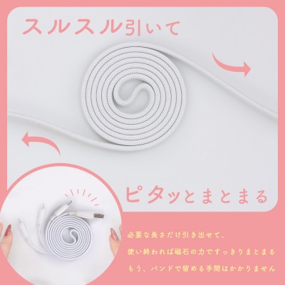 マグネットフラットケーブル 磁力でまとまる ラテグレージュ (MOT-MGFAC100-GY)