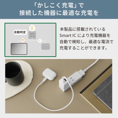 (オウルテック) 24W出力対応 USB Type-A×2コンパクト AC充電器 ホワイト