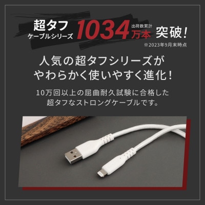(オウルテック) 急速充電2.4A/データ転送 Type-A to Lightningケーブル 2m