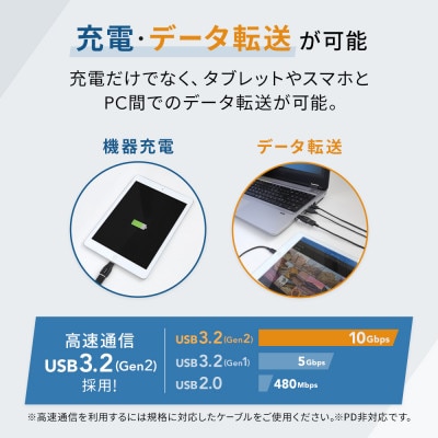 (オウルテック) USB 3.2Gen2準拠 Type-A to Type-C変換アダプター