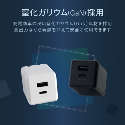 (オウルテック) ノートPCも充電可能 最大PD45W出力 コンパクト2ポートAC充電器 ブラック