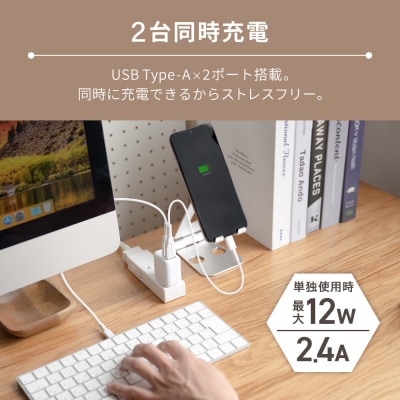 (オウルテック)最大12W出力 USB Type-A×2 AC充電器