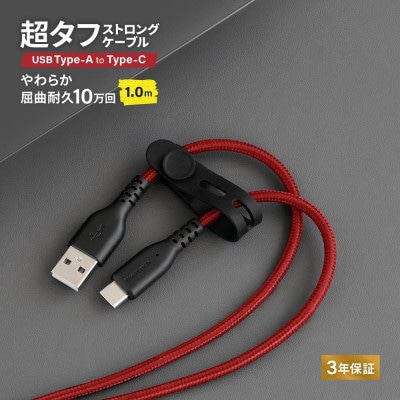 (オウルテック)急速充電3A/データ転送Type-AtoType-Cケーブル 1m ブラック×レッド