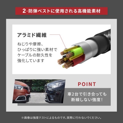 (オウルテック)急速充電3A/データ転送Type-AtoType-Cケーブル 1m ブラック×レッド