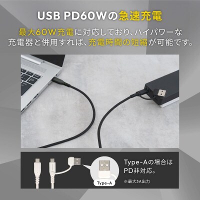 最大PD60Wデータ転送 USBType-A/Type-CtoType-C2in1ケーブル ブラック