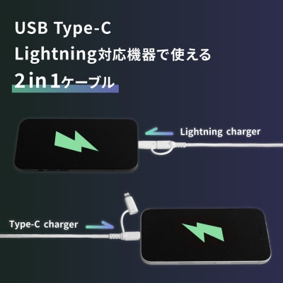 PD60W充電/データ転送 USBType-CtoType-C/Lightning2in1ケーブル
