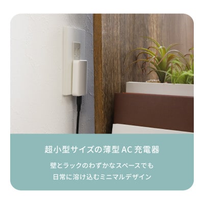 Owltech 薄さ13mm 最大PD36W出力 GaN採用 USB Type-C×1 AC充電器