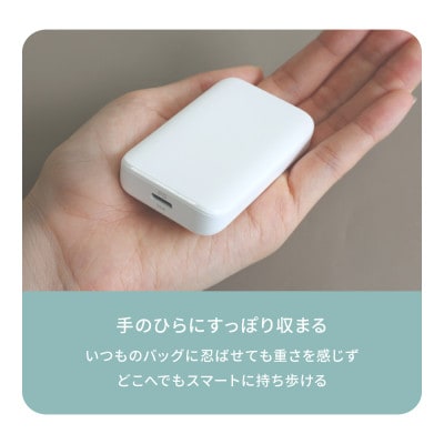 Owltech 薄さ13mm 最大PD36W出力 GaN採用 USB Type-C×1 AC充電器