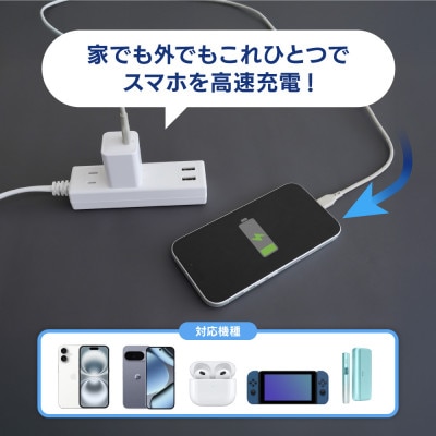 オウルテック 最大PD20W出力 GaN採用 USB Type-C×1 AC充電器 ブラック